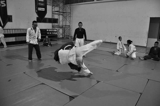 Judo Classes for Kids